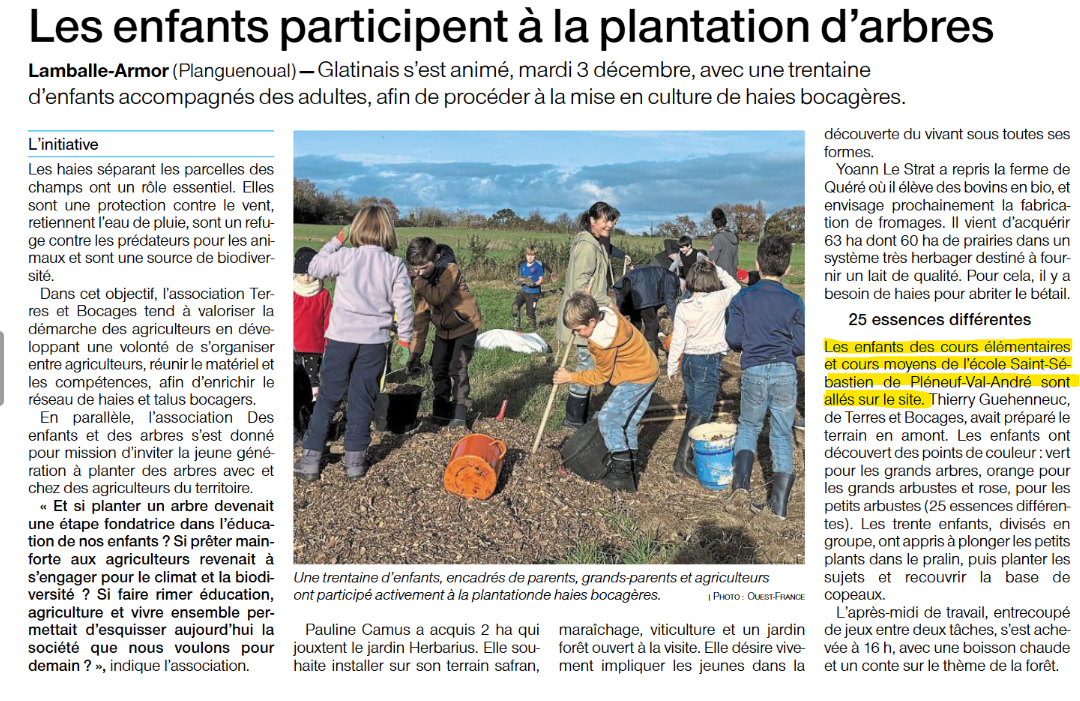 PLANTATION