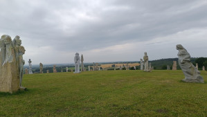 VDS 013